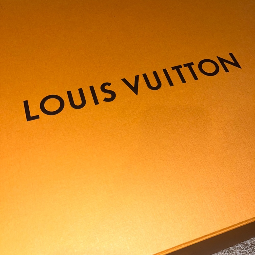 Louis Vuitton Backpack - Picture 10 of 12